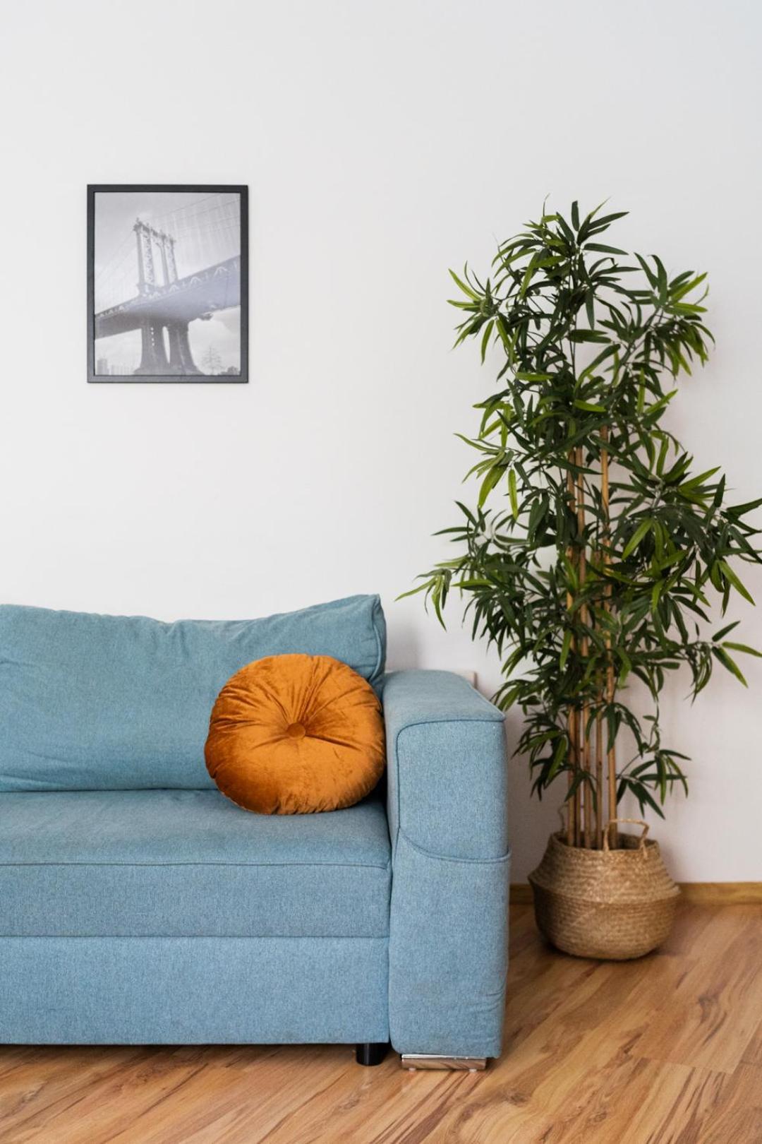 Big Apart - Nice Design - 3 Rooms - Wroclaw City Centre Exteriör bild